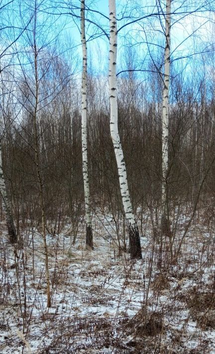 земля городской округ Раменский Эковита-Аква кп фото 3