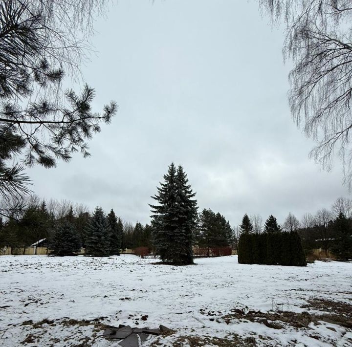 земля городской округ Ленинский д Горки Домодедовская, 8 фото 3