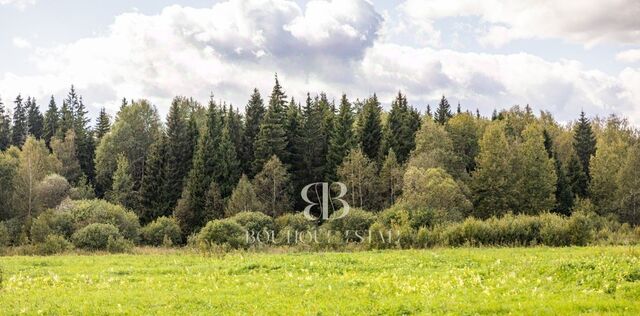 ул Приозерная Маленькая Италия кп, Нахабино фото