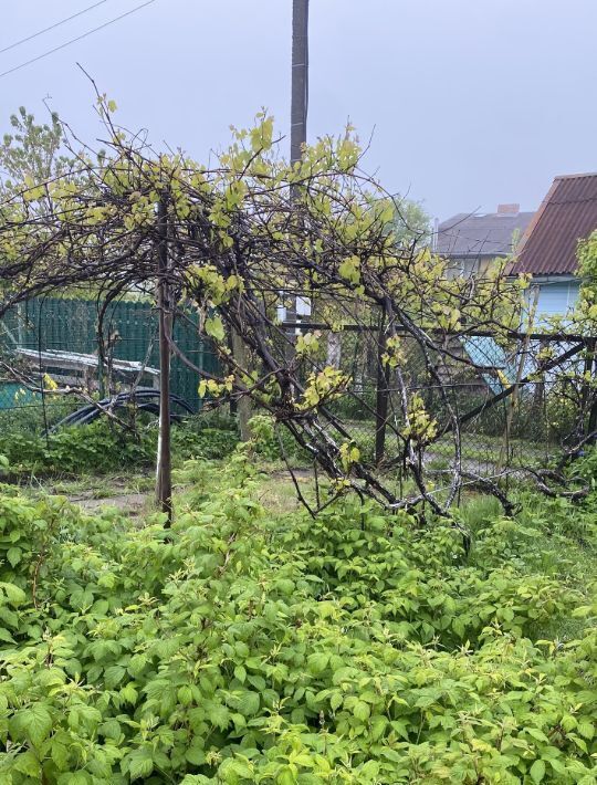 дом р-н Светлогорский г Светлогорск снт Радуга 8-я линия фото 4