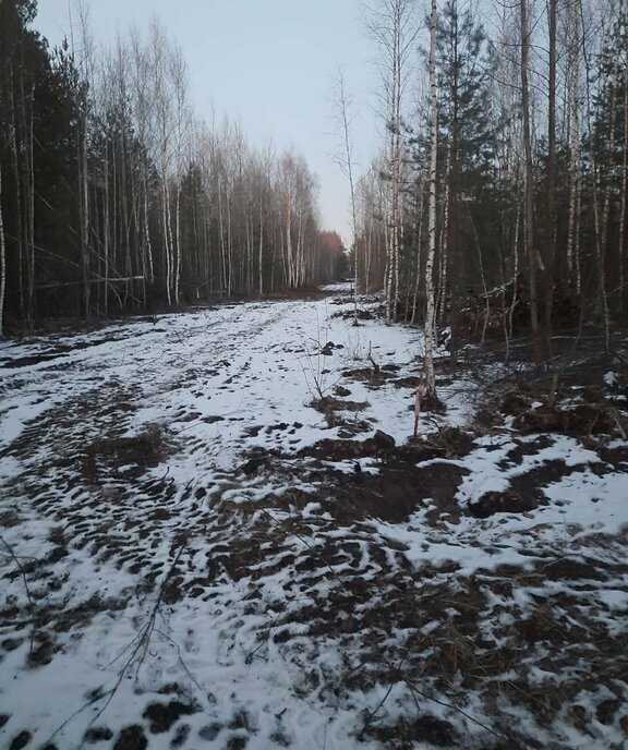 земля городской округ Богородский г Ногинск снт Сокол Железнодорожная фото 4