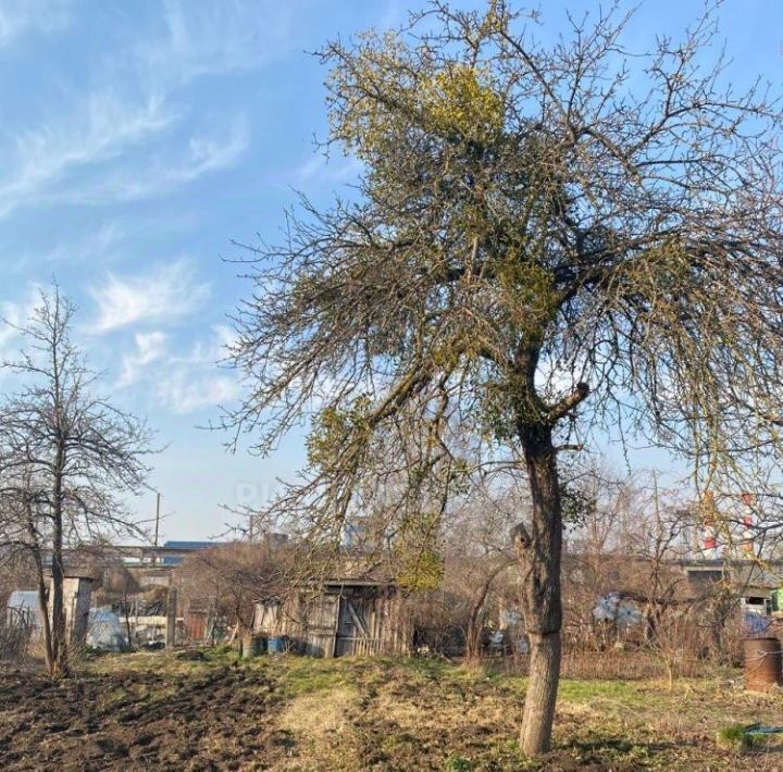 дом г Калининград р-н Московский снт Солнечное ул Цветочная 20 фото 3