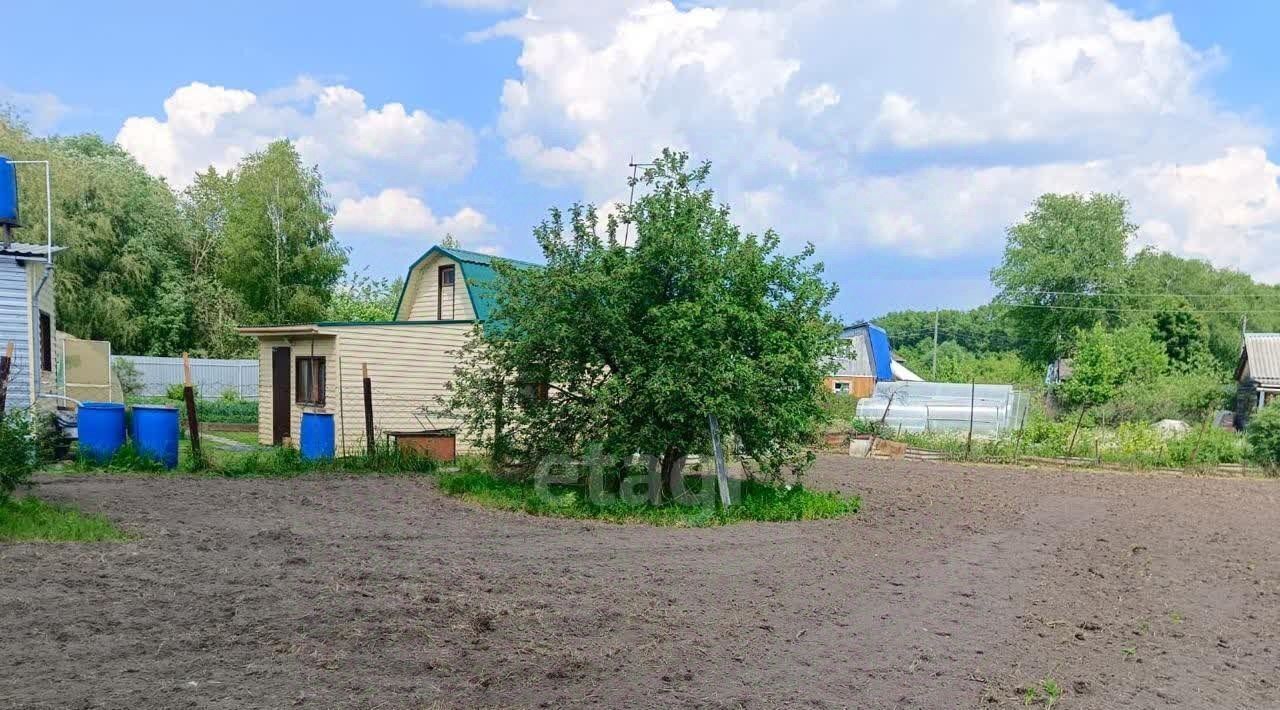земля г Северск снт Мир 1-й кв-л, ул. 4-я, 233 фото 3