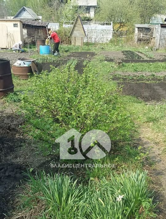 земля р-н Новосибирский снт Восток-1 Барышевский сельсовет, 156 фото 4