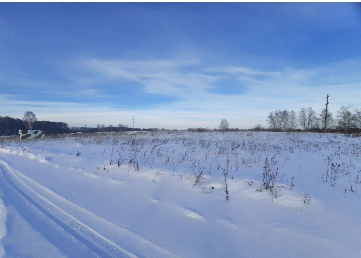 земля р-н Томский д Новомихайловка ДНП Кедры, Облепиховая ул, Томск фото 2