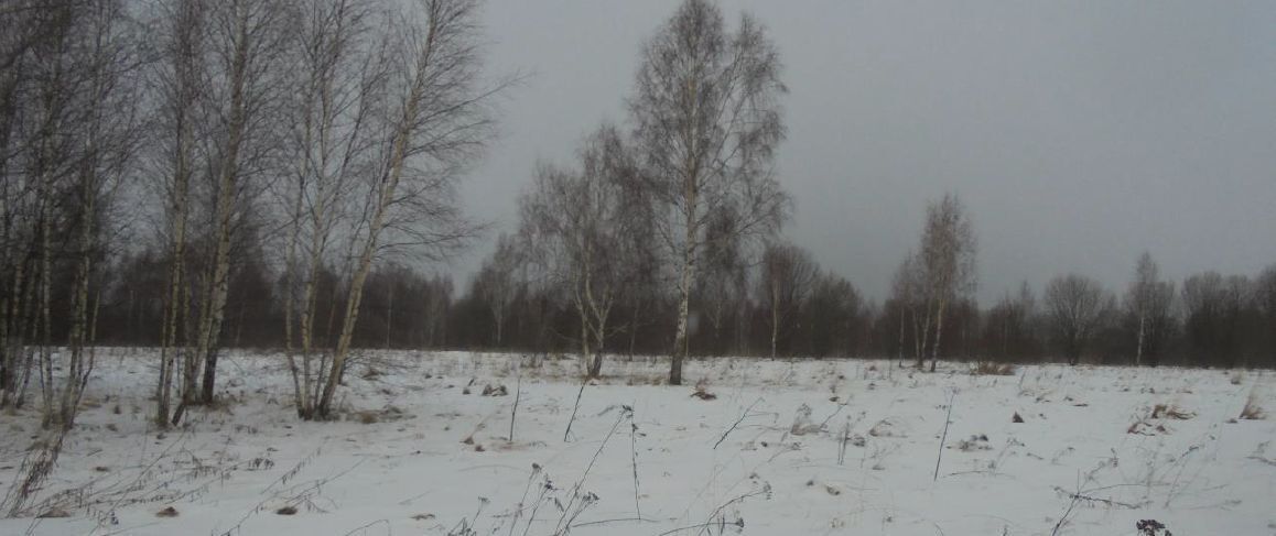 земля городской округ Дмитровский д Богданово фото 1