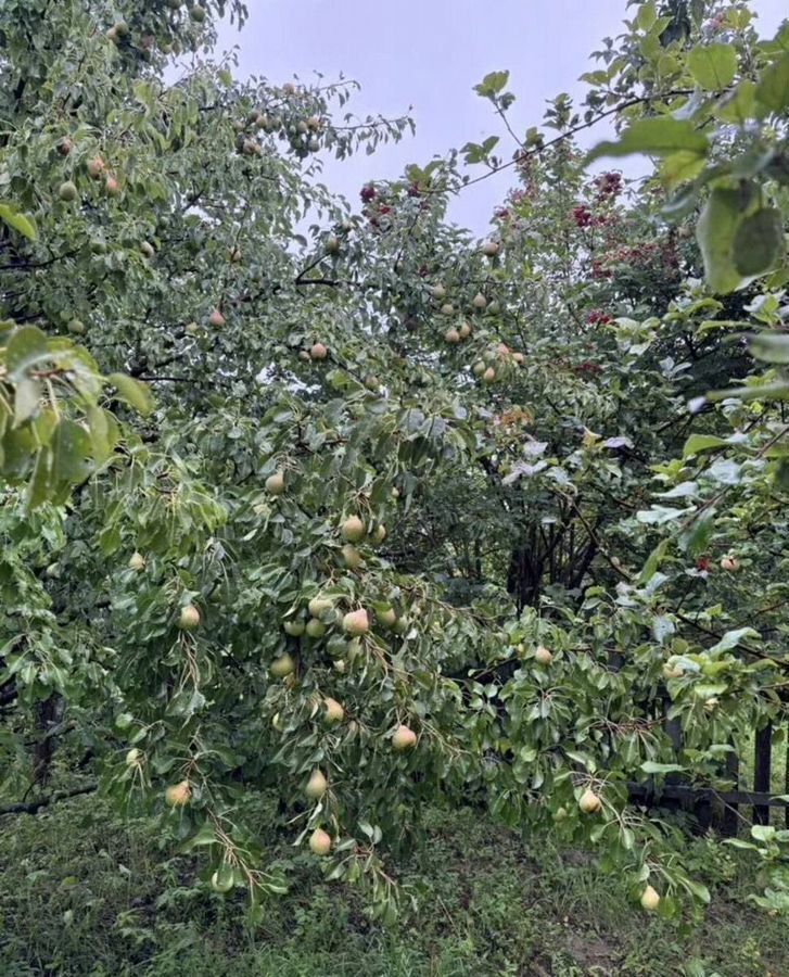 дом р-н Горномарийский д Четнаево ул Архипкинская Красноволжское сельское поселение, Козьмодемьянск фото 22