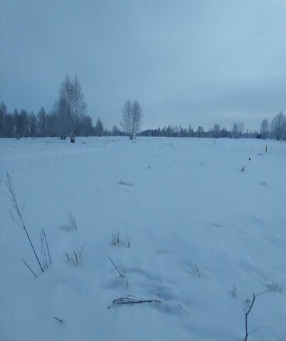 земля ул Велозаводская фото