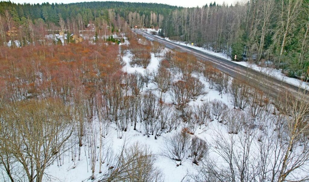 земля г Сортавала п Вуорио Сортавальский муниципальный округ фото 3