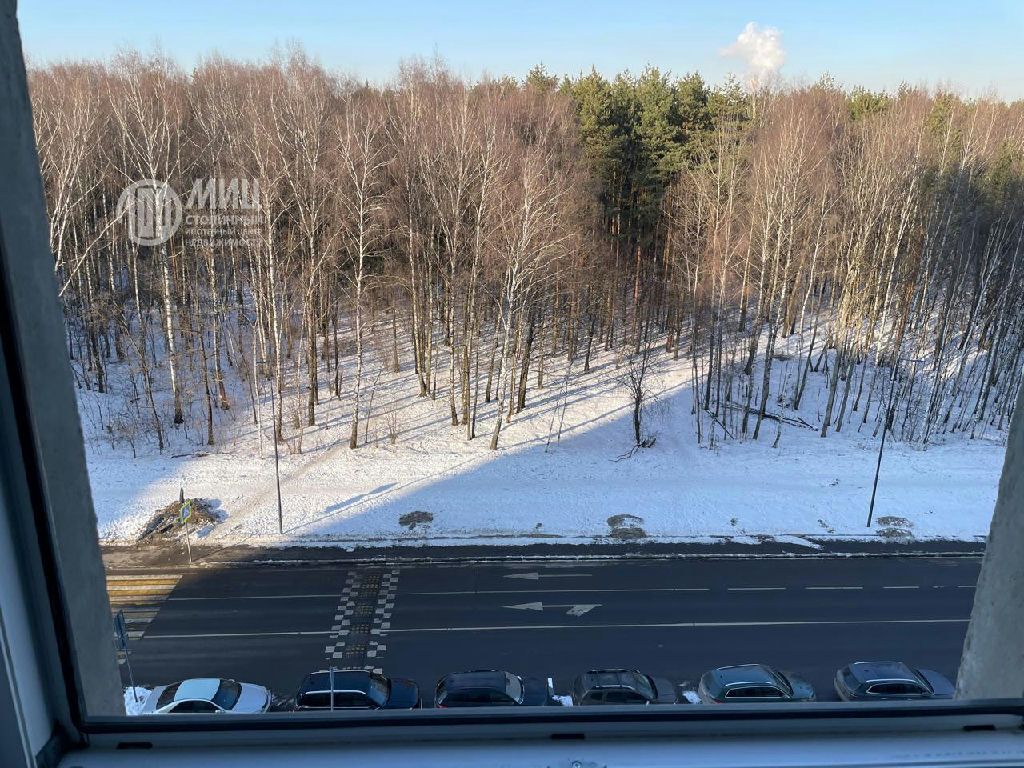 квартира г Москва метро Саларьево ул Саларьевская 10к/2 обл Московская фото 19