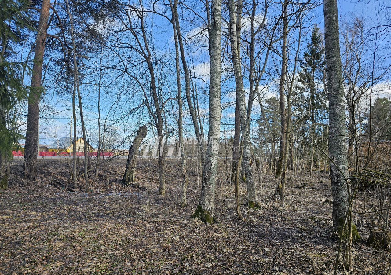 земля городской округ Рузский д Новокурово 87 км, 15, Руза, Новорижское шоссе фото 5