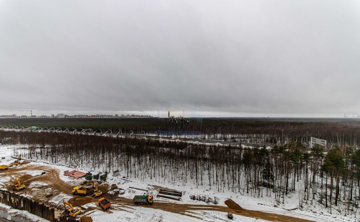 квартира г Санкт-Петербург метро Комендантский Проспект ул Планерная 87к/1 фото 15