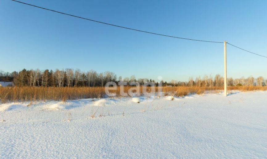 земля р-н Тюменский с Каменка Тюмень фото 1