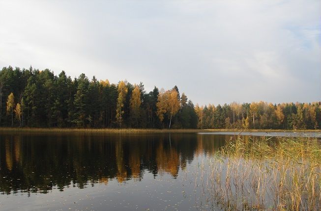 земля р-н Западнодвинский г Западная Двина д Глубокое фото 3