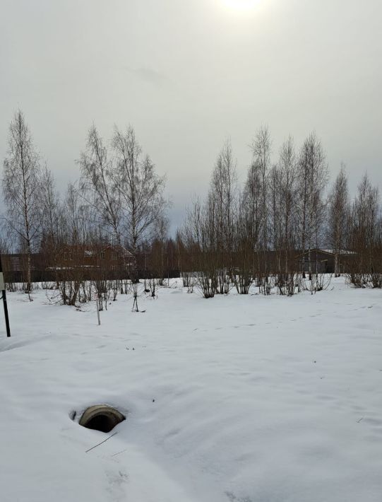 земля городской округ Волоколамский д Себенки ул Сельская Сычево фото 2