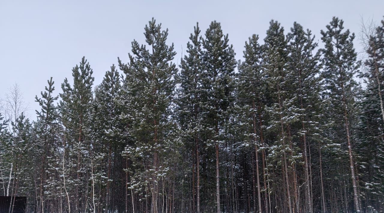 дом г Нижневартовск снт Семь Я фото 3