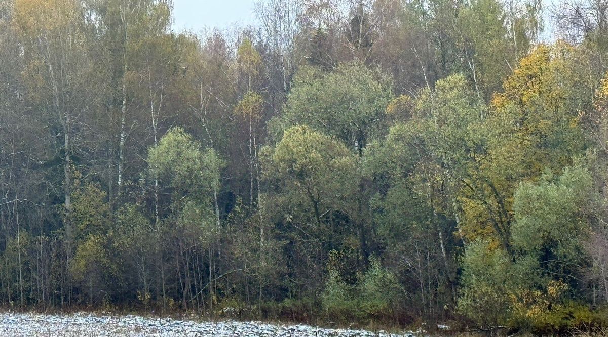 земля городской округ Солнечногорск д Мерзлово фото 1