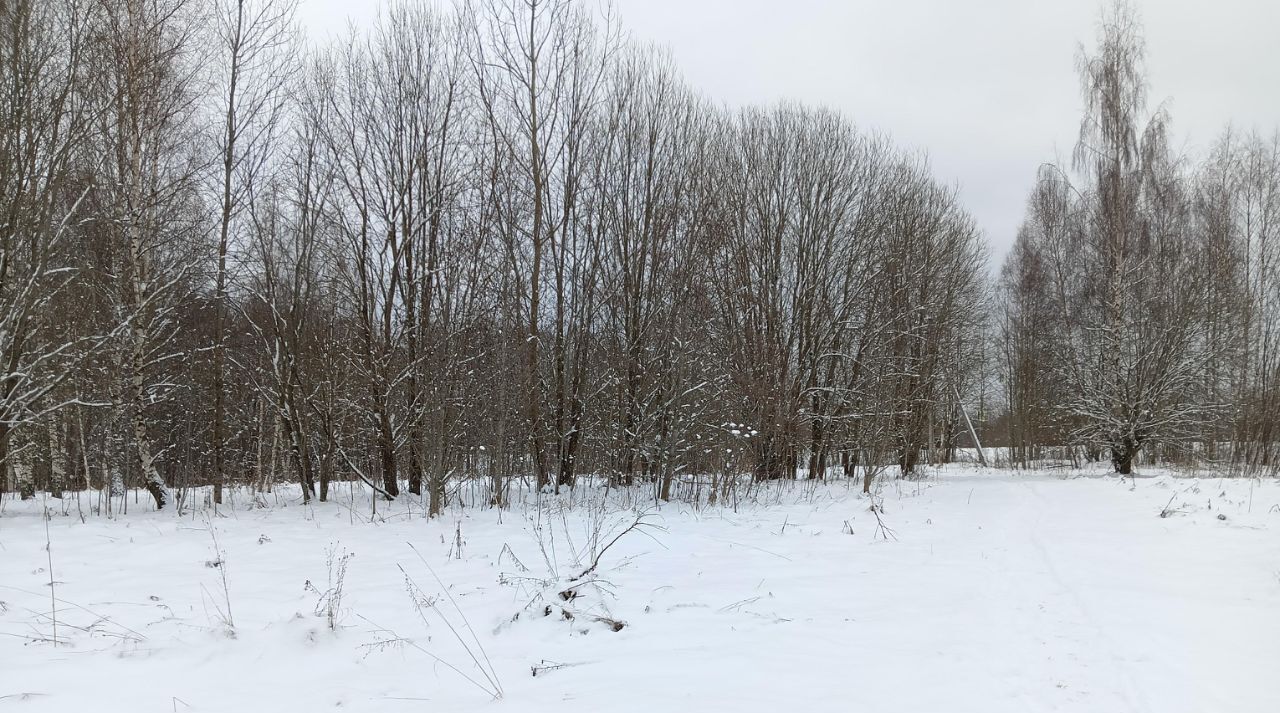 земля городской округ Клин д Борихино фото 4