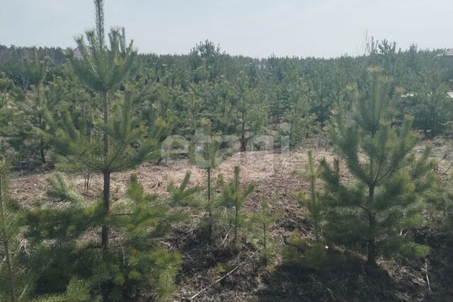 Екатеринбург городской округ, Чкаловский фото