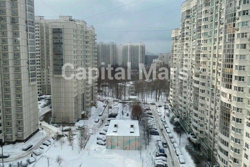 квартира г Москва ул Новаторов 36к/3 Новаторская фото 4