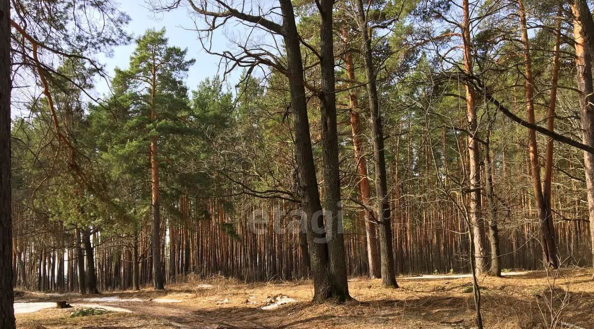 земля р-н Тамбовский рп Новая Ляда пер Лесной фото 1