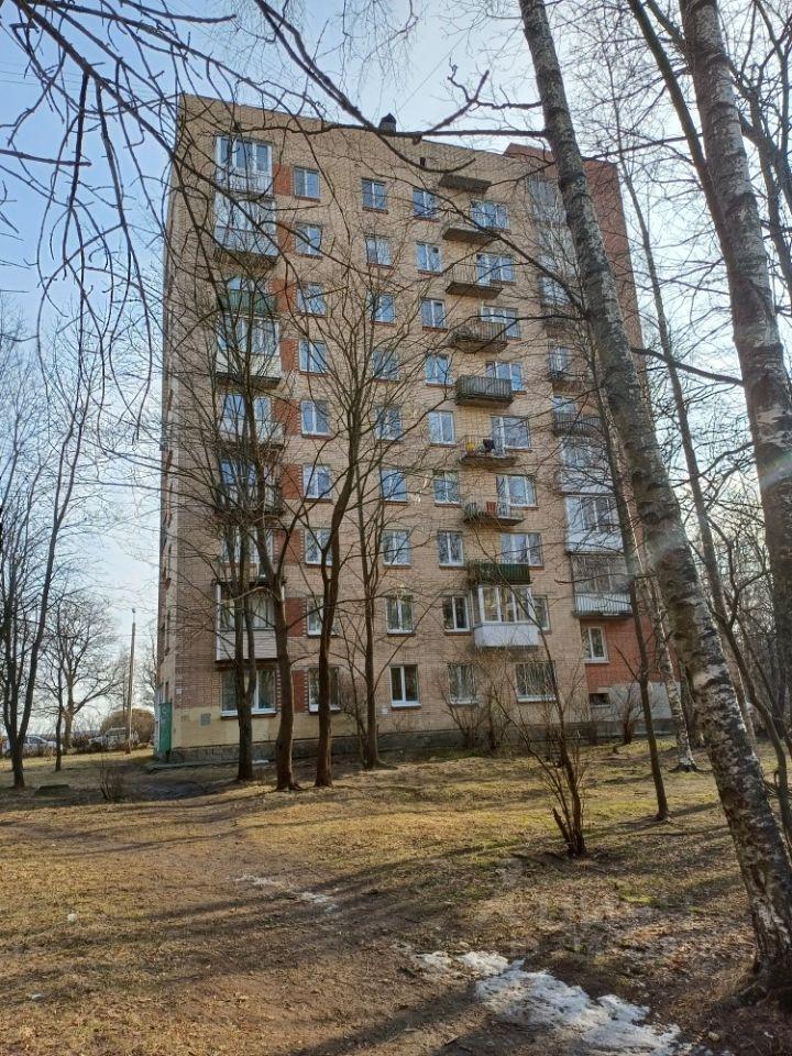 квартира г Сестрорецк ш Приморское 328 р-н Курортный Ленинградская область фото 22