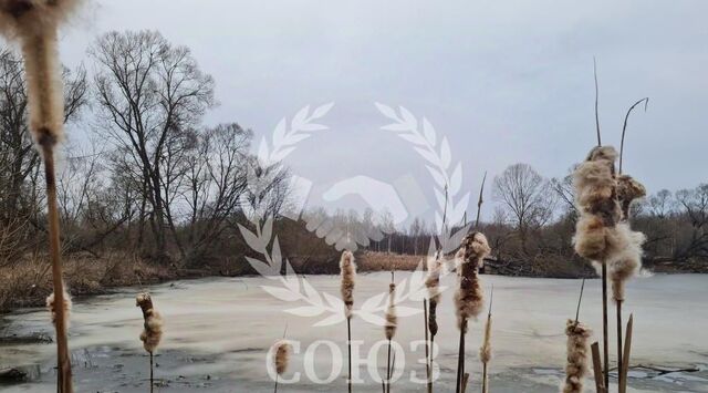 с Совхоз Чкаловский фото