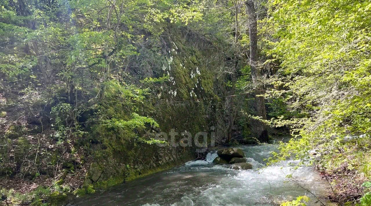 земля г Алушта с Лучистое Победа СНТ фото 4