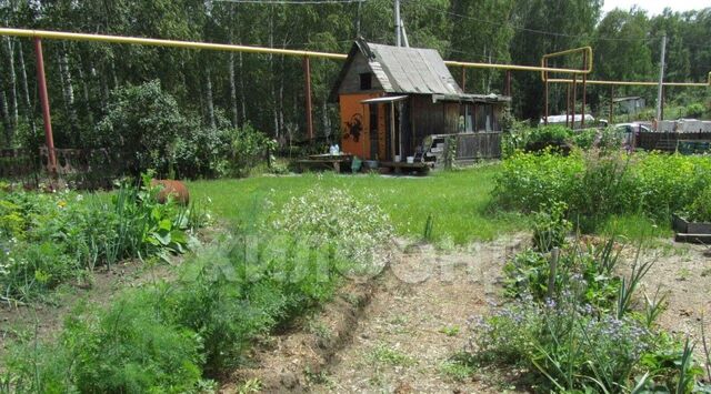 р-н Новосибирский снт Елочка Криводановский сельсовет, ул. Кленовая, 5 фото