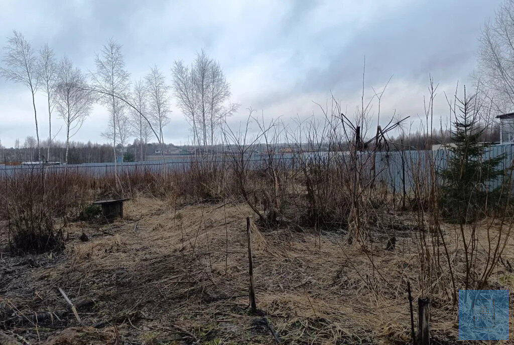 земля городской округ Солнечногорск д Бережки фото 1