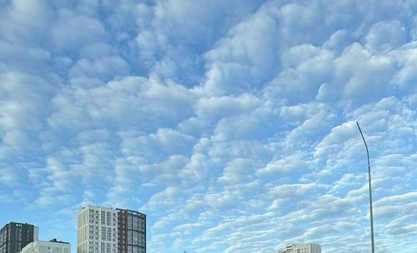 Советская дом 11 фото