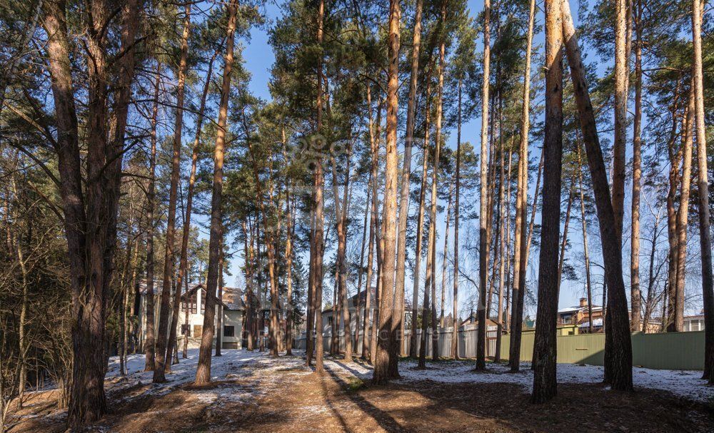 земля городской округ Красногорск д Воронки снт Урожай 8 км, Красногорск, Волоколамское шоссе фото 4