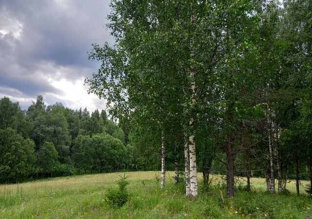 земля Трасса Сортавала, 135 км, Каменногорское городское поселение фото