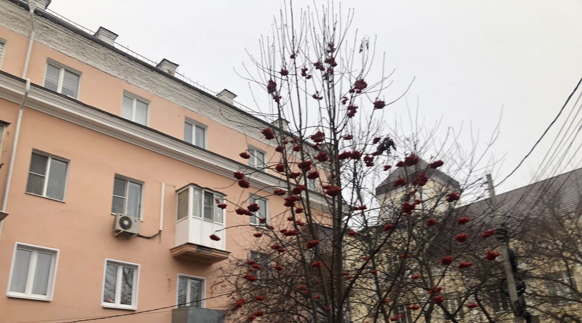 квартира г Курск р-н Центральный ул Ленина 19 фото 4
