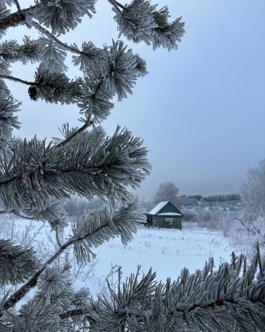 снт Росинка 103 фото