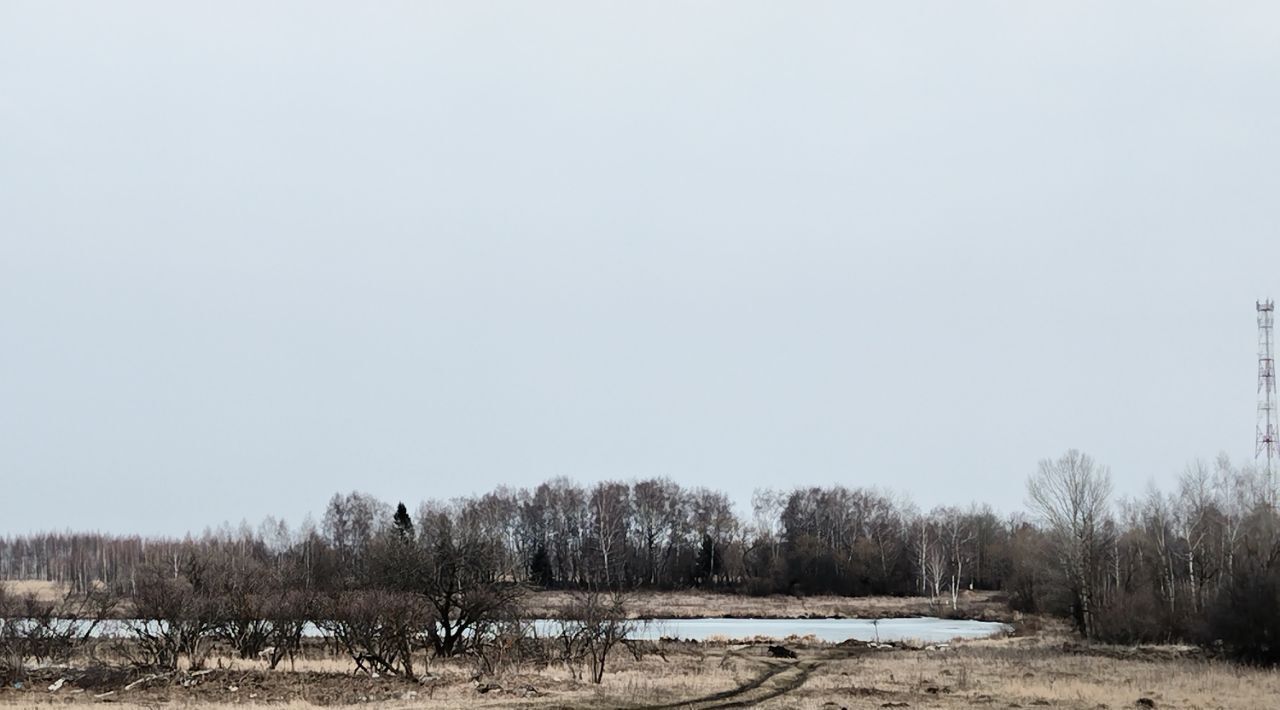 земля г Кашира д Яковское фото 4