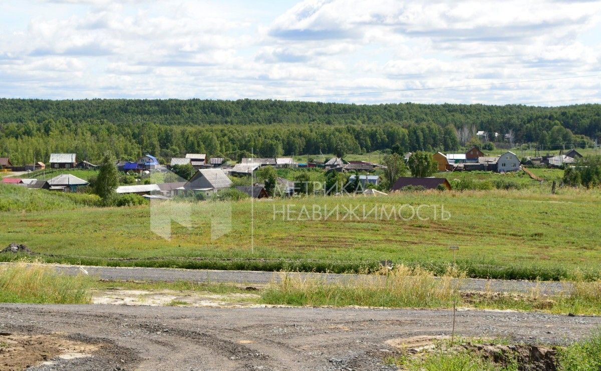 земля г Тюмень р-н Центральный снт Ясень Третья ул., 223 фото 5