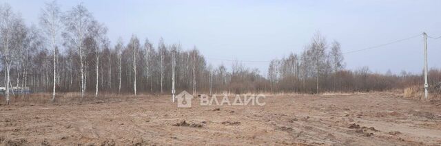 Дубровическое с/пос, с. Дубровичи фото