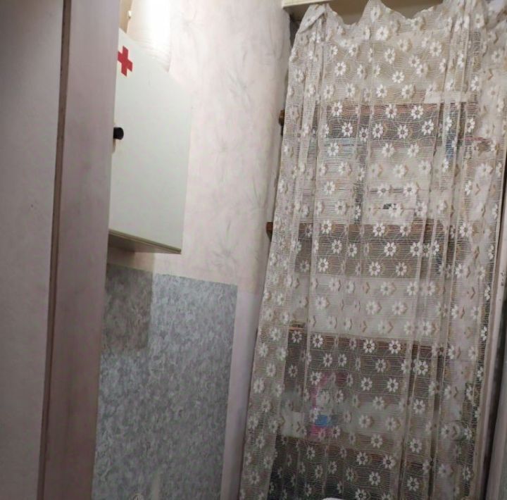 квартира г Нижний Новгород Парк культуры ул Веденяпина 1в фото 9