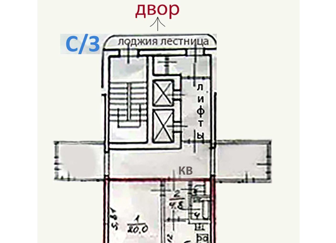 квартира г Санкт-Петербург метро Комендантский Проспект пр-кт Комендантский 20к/3 округ Озеро Долгое фото 28