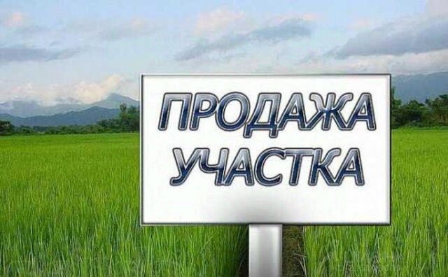 г Любань Московское шоссе, 83 км, Лисинское сельское поселение, товарищество собственников недвижимости Надежда фото