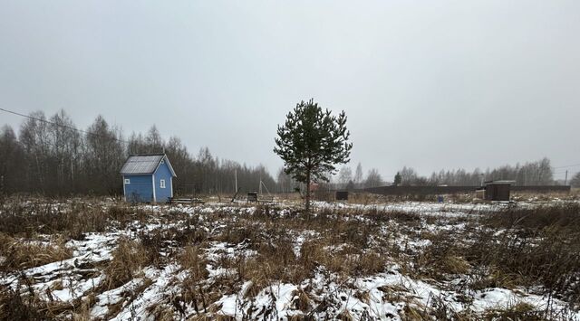 снт Бобковское раздолье Кипревское муниципальное образование фото