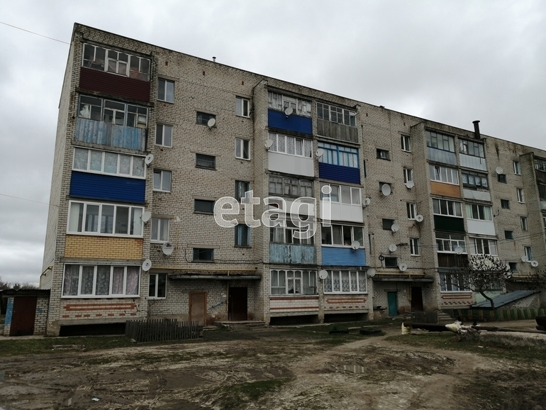 квартира г Брянск рп Радица-Крыловка Бежицкий район ул Заводская 9 фото 13