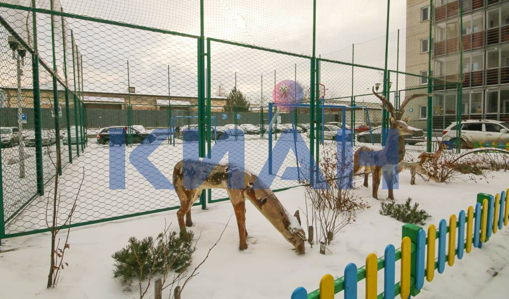 квартира г Красноярск р-н Октябрьский ул Норильская 8б фото 10