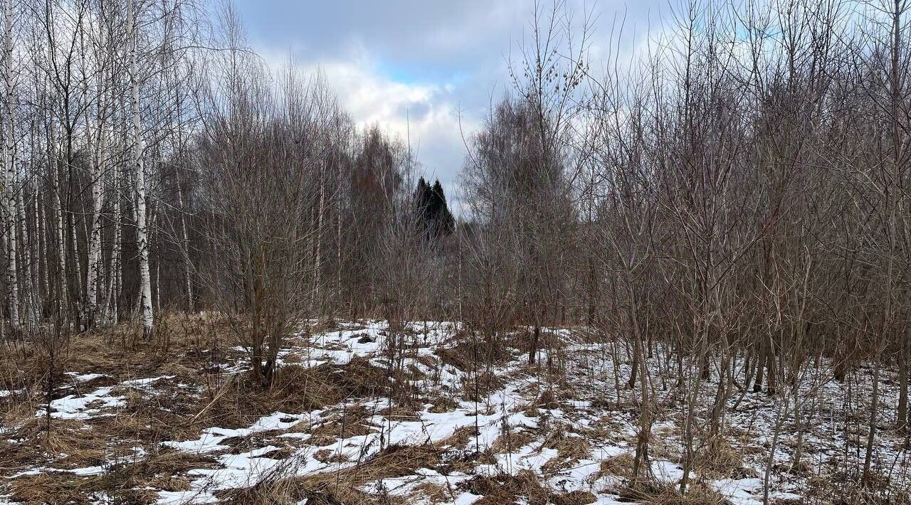 земля г Владимир мкр Пиганово р-н Ленинский фото 1