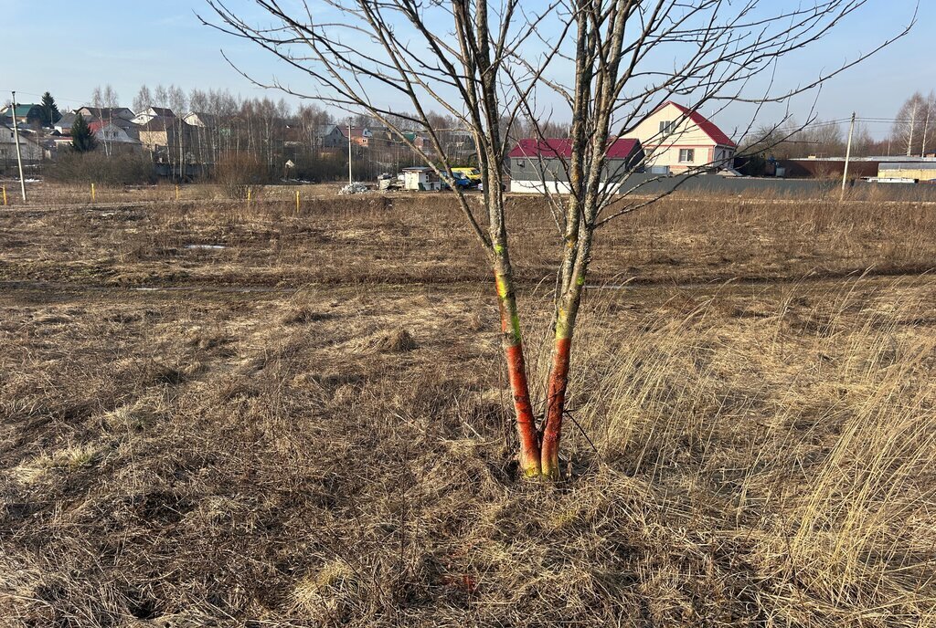 земля р-н Александровский г Александров ул Ивановская фото 16