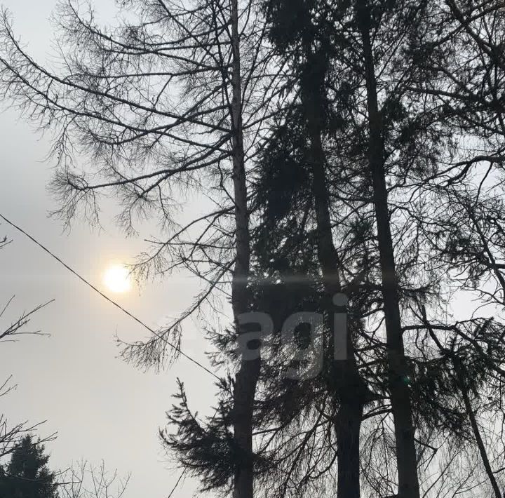 земля г Смоленск р-н Заднепровский Дубровенка СНТ, 99 фото 12