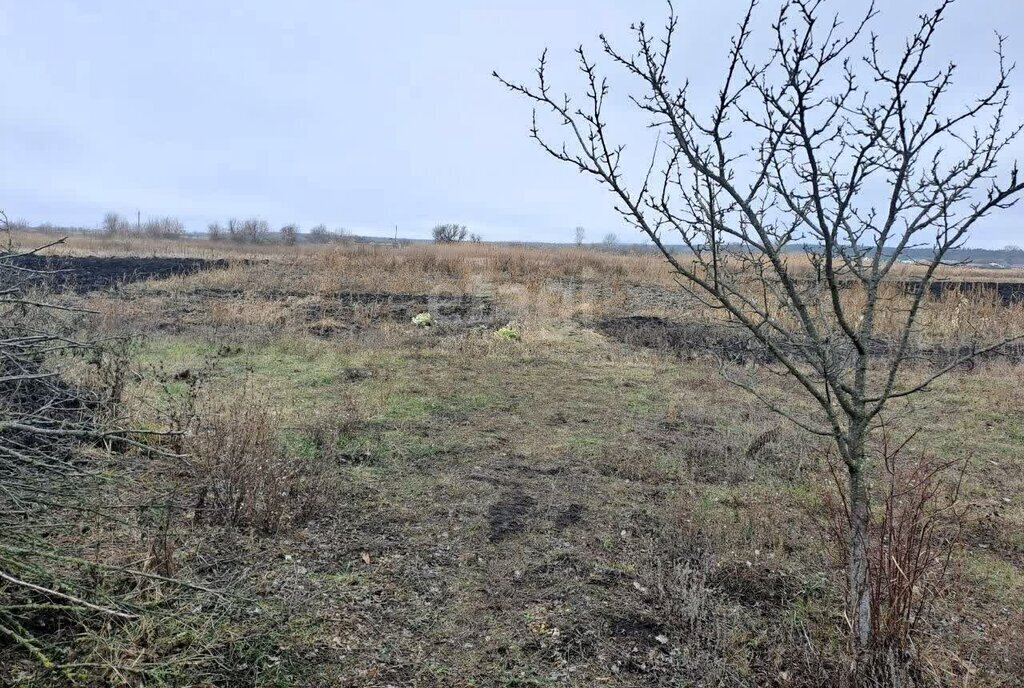 дом р-н Валуйский г Валуйки ул Фрунзе фото 16