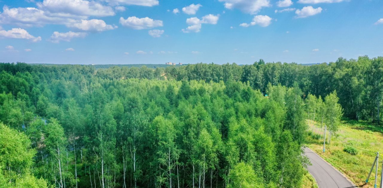 земля г Домодедово д Ивановка Лесной остров кп, 100 фото 4