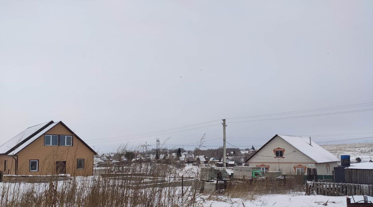 дом г Барнаул с Гоньба ул Трудовая фото 4